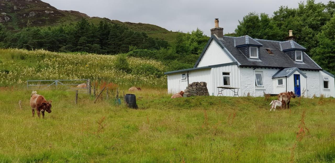 Isle Of Carna, Secluded Scottish Island, Loch Sunart Villa Acharacle Exteriör bild