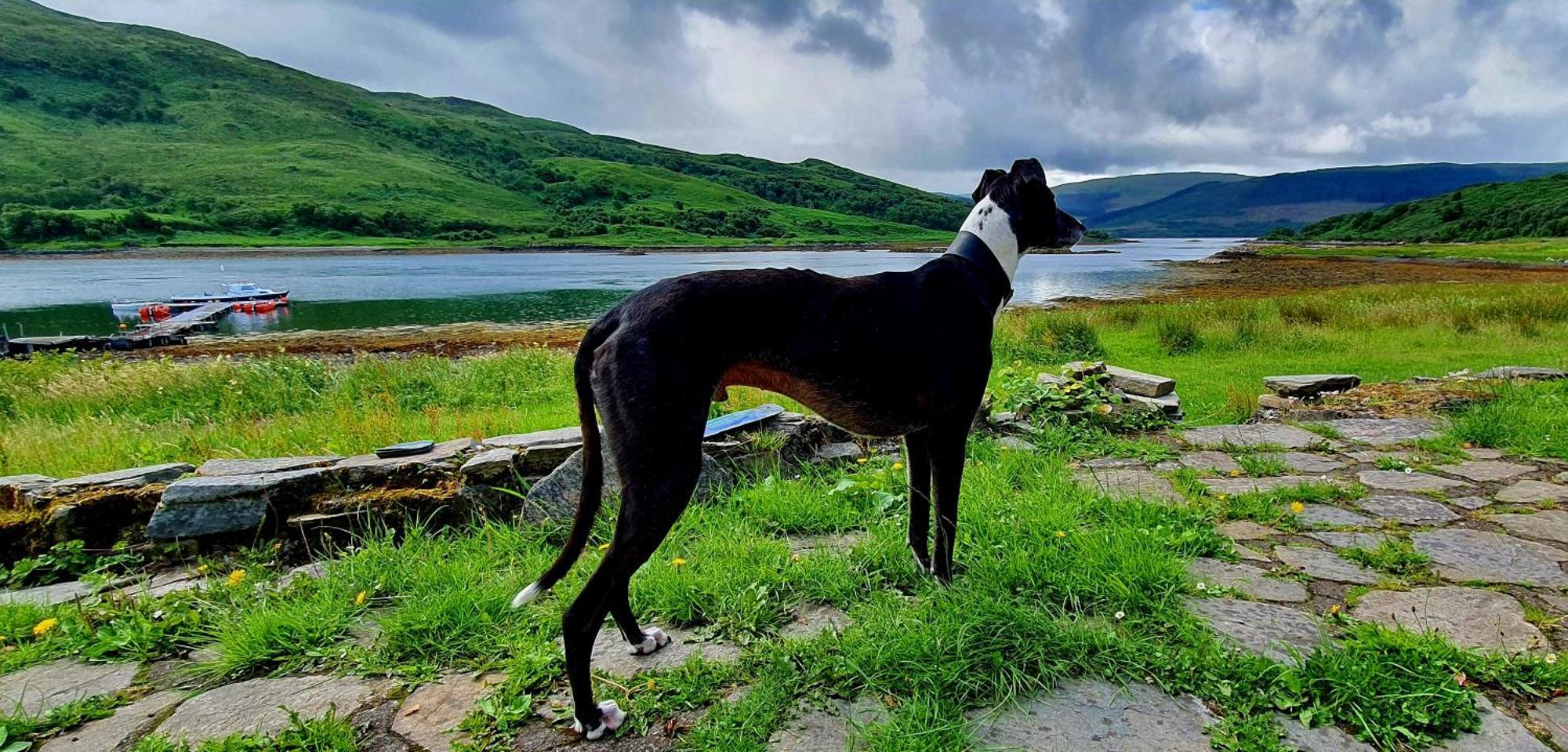 Isle Of Carna, Secluded Scottish Island, Loch Sunart Villa Acharacle Exteriör bild